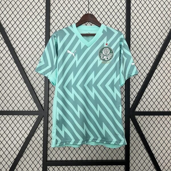 Palmeiras Goleiro Verde